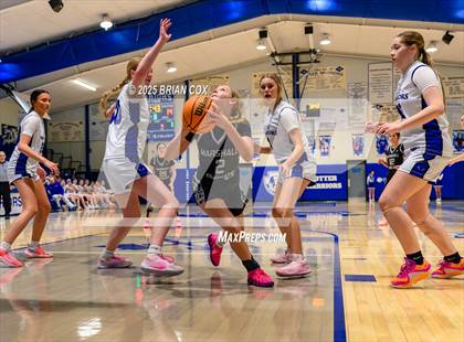 Thumbnail 3 in FR: Marshall @ Cotter photogallery.