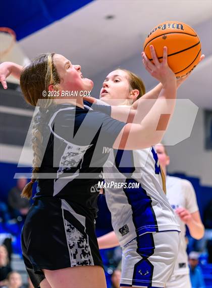 Thumbnail 1 in FR: Marshall @ Cotter photogallery.