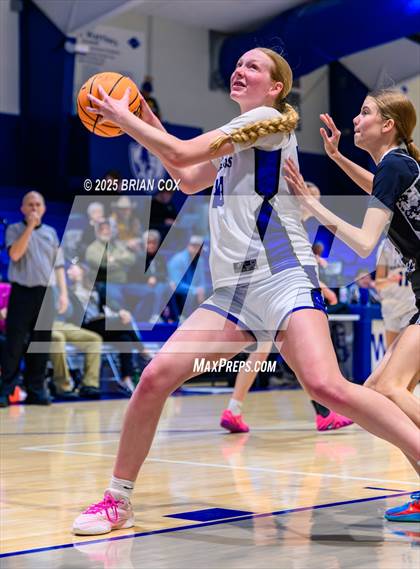 Thumbnail 1 in FR: Marshall @ Cotter photogallery.