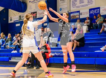 Thumbnail 1 in FR: Marshall @ Cotter photogallery.