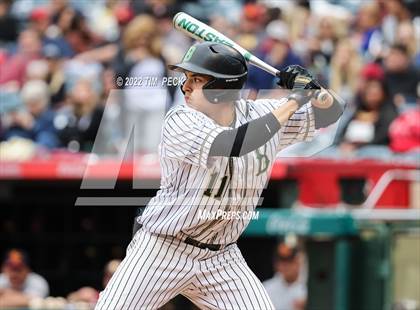 Thumbnail 3 in Brea Olinda @ El Modena photogallery.