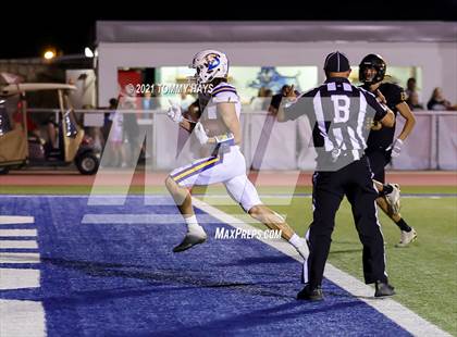 Thumbnail 3 in Brock @ Bushland photogallery.