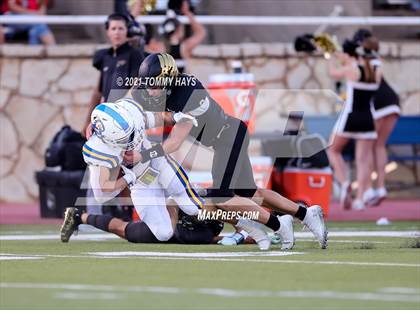 Thumbnail 3 in Brock @ Bushland photogallery.