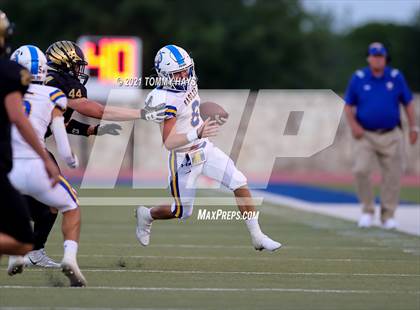 Thumbnail 3 in Brock @ Bushland photogallery.