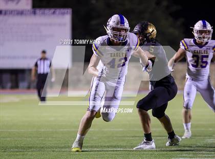 Thumbnail 2 in Brock @ Bushland photogallery.