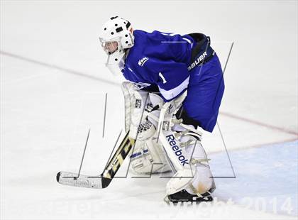 Thumbnail 3 in Darien vs. Fairfield Prep (CIAC DI Final) photogallery.