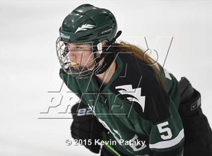 Thumbnail 3 in New Milford @ Branford photogallery.