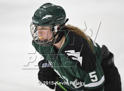 Thumbnail 1 in New Milford @ Branford photogallery.