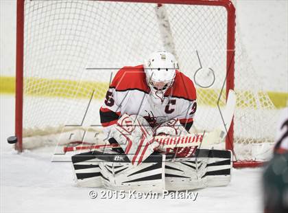 Thumbnail 1 in New Milford @ Branford photogallery.