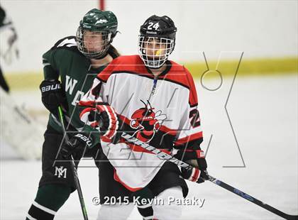 Thumbnail 2 in New Milford @ Branford photogallery.