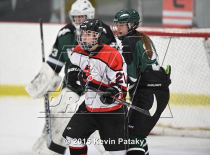 Thumbnail 3 in New Milford @ Branford photogallery.