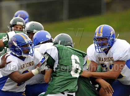 Thumbnail 3 in Harding @ Norwalk photogallery.