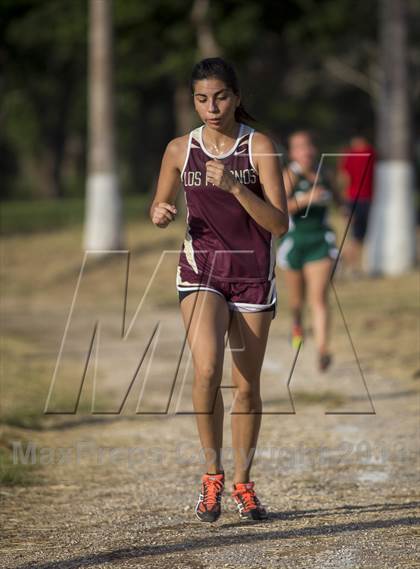Thumbnail 2 in Brownsville Invitational photogallery.