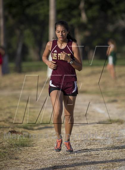 Thumbnail 1 in Brownsville Invitational photogallery.