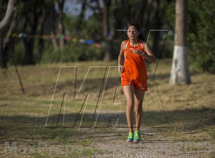 Thumbnail 1 in Brownsville Invitational photogallery.