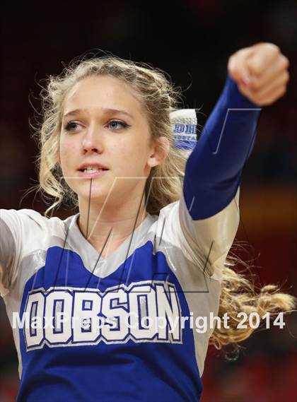 Thumbnail 2 in Pinnacle vs. Dobson (AIA D1 Semifinal) photogallery.
