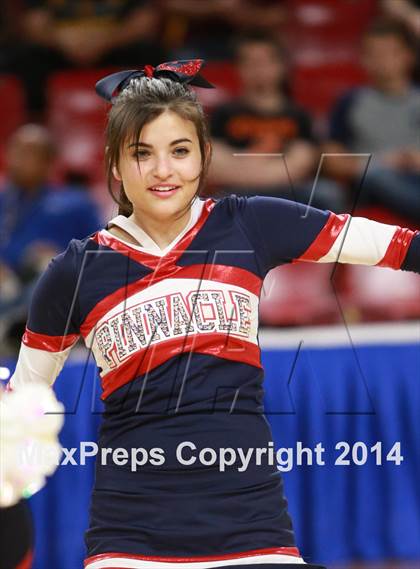 Thumbnail 3 in Pinnacle vs. Dobson (AIA D1 Semifinal) photogallery.