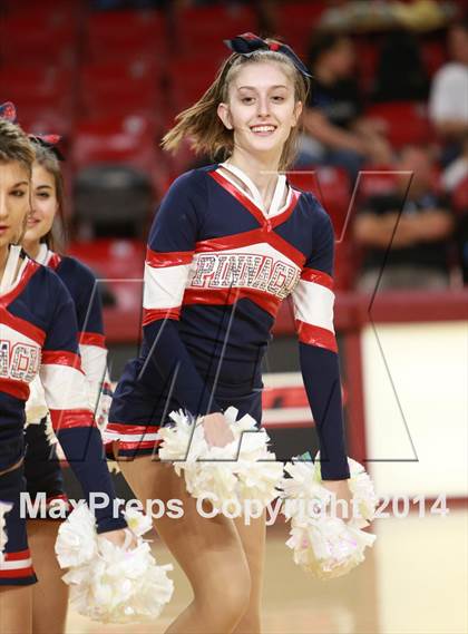 Thumbnail 2 in Pinnacle vs. Dobson (AIA D1 Semifinal) photogallery.