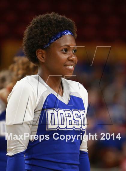 Thumbnail 1 in Pinnacle vs. Dobson (AIA D1 Semifinal) photogallery.