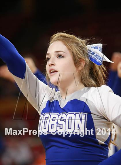 Thumbnail 3 in Pinnacle vs. Dobson (AIA D1 Semifinal) photogallery.