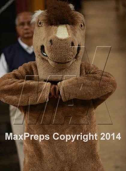 Thumbnail 3 in Pinnacle vs. Dobson (AIA D1 Semifinal) photogallery.