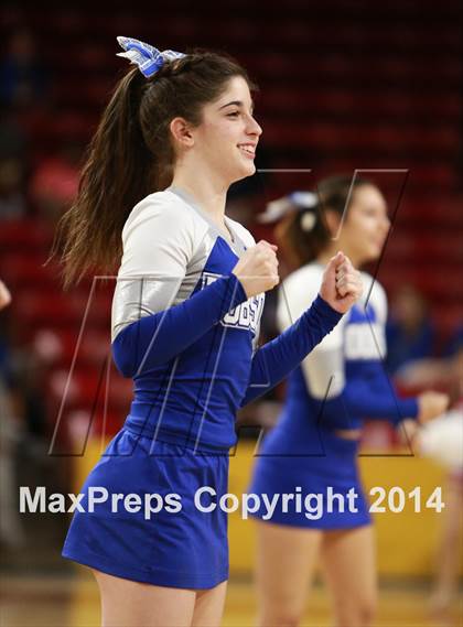 Thumbnail 2 in Pinnacle vs. Dobson (AIA D1 Semifinal) photogallery.