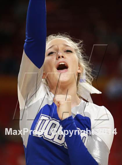 Thumbnail 2 in Pinnacle vs. Dobson (AIA D1 Semifinal) photogallery.