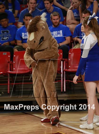 Thumbnail 3 in Pinnacle vs. Dobson (AIA D1 Semifinal) photogallery.