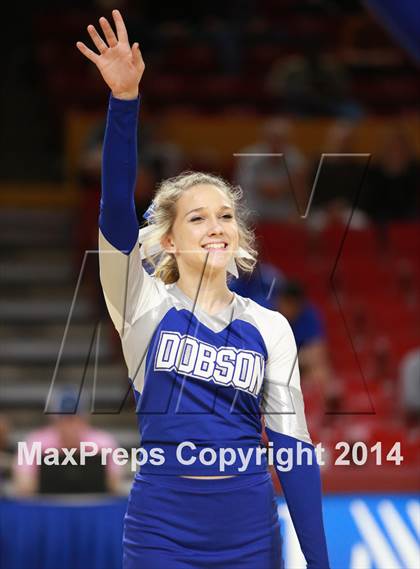 Thumbnail 2 in Pinnacle vs. Dobson (AIA D1 Semifinal) photogallery.