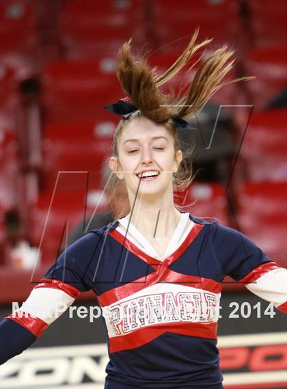 Thumbnail 1 in Pinnacle vs. Dobson (AIA D1 Semifinal) photogallery.