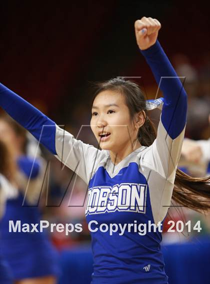 Thumbnail 1 in Pinnacle vs. Dobson (AIA D1 Semifinal) photogallery.