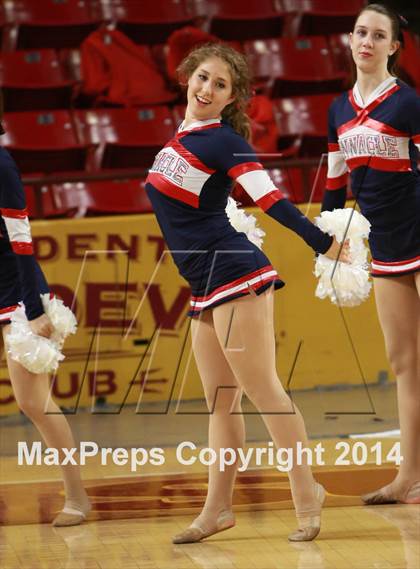 Thumbnail 2 in Pinnacle vs. Dobson (AIA D1 Semifinal) photogallery.