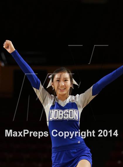 Thumbnail 2 in Pinnacle vs. Dobson (AIA D1 Semifinal) photogallery.