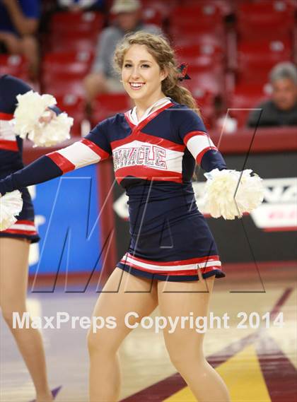 Thumbnail 1 in Pinnacle vs. Dobson (AIA D1 Semifinal) photogallery.