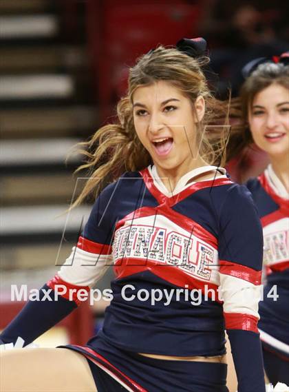 Thumbnail 1 in Pinnacle vs. Dobson (AIA D1 Semifinal) photogallery.