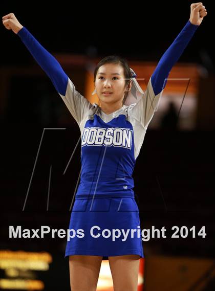 Thumbnail 3 in Pinnacle vs. Dobson (AIA D1 Semifinal) photogallery.