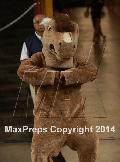 Thumbnail 1 in Pinnacle vs. Dobson (AIA D1 Semifinal) photogallery.