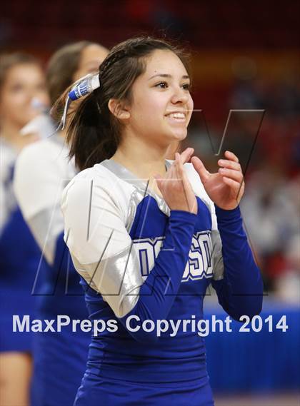 Thumbnail 1 in Pinnacle vs. Dobson (AIA D1 Semifinal) photogallery.