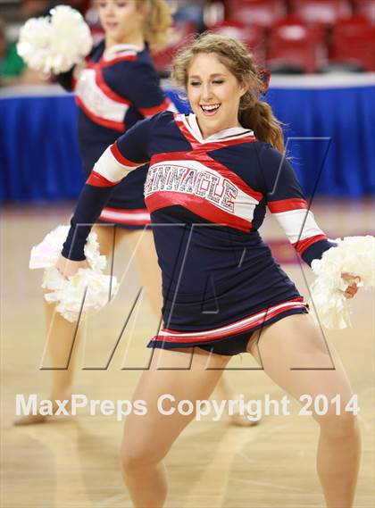 Thumbnail 1 in Pinnacle vs. Dobson (AIA D1 Semifinal) photogallery.