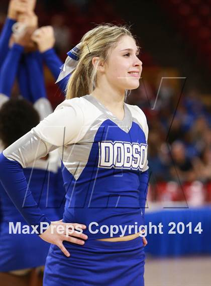 Thumbnail 3 in Pinnacle vs. Dobson (AIA D1 Semifinal) photogallery.