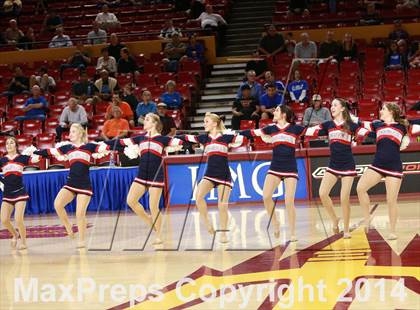 Thumbnail 2 in Pinnacle vs. Dobson (AIA D1 Semifinal) photogallery.