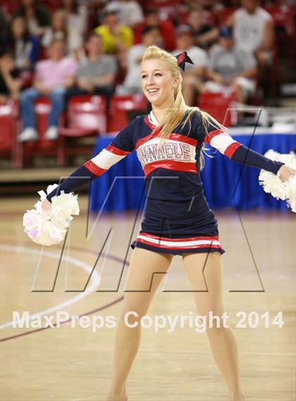 Thumbnail 3 in Pinnacle vs. Dobson (AIA D1 Semifinal) photogallery.