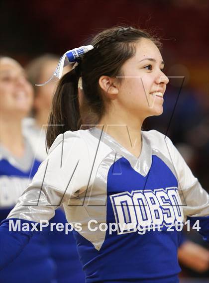 Thumbnail 3 in Pinnacle vs. Dobson (AIA D1 Semifinal) photogallery.