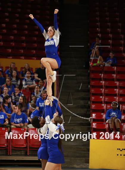 Thumbnail 1 in Pinnacle vs. Dobson (AIA D1 Semifinal) photogallery.