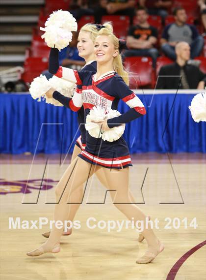 Thumbnail 3 in Pinnacle vs. Dobson (AIA D1 Semifinal) photogallery.
