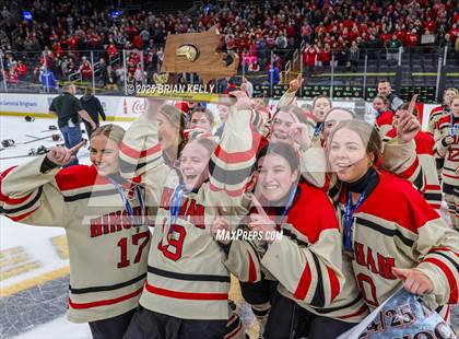 Thumbnail 1 in Hingham vs Bishop Stang (MIAA Division 1 Final) photogallery.