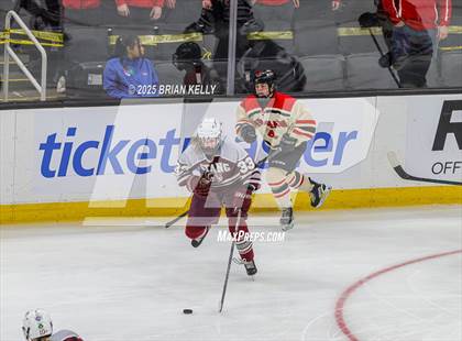 Thumbnail 1 in Hingham vs Bishop Stang (MIAA Division 1 Final) photogallery.