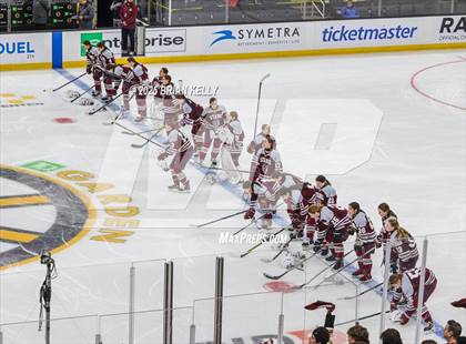 Thumbnail 3 in Hingham vs Bishop Stang (MIAA Division 1 Final) photogallery.