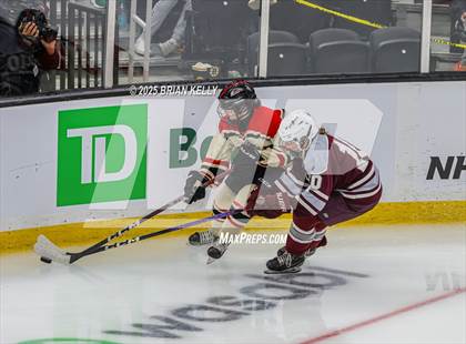 Thumbnail 1 in Hingham vs Bishop Stang (MIAA Division 1 Final) photogallery.