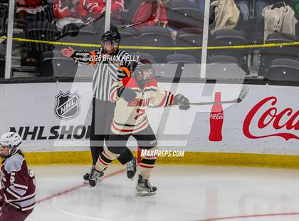 Thumbnail 2 in Hingham vs Bishop Stang (MIAA Division 1 Final) photogallery.